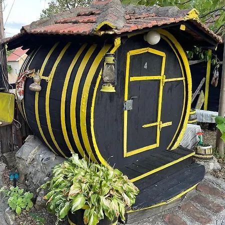 Angelinin Konukevi Negotin