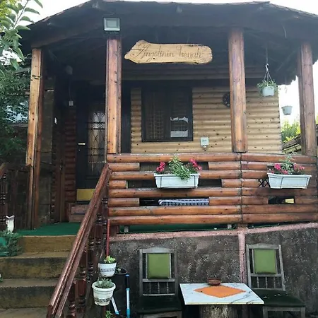 Angelinin Negotin