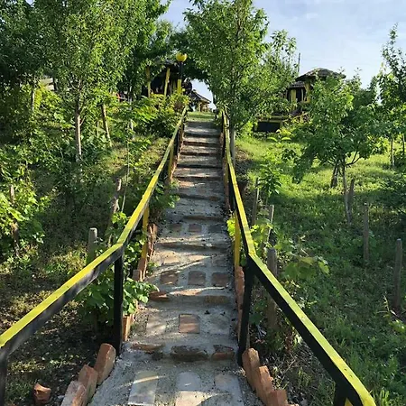 Angelinin 게스트하우스