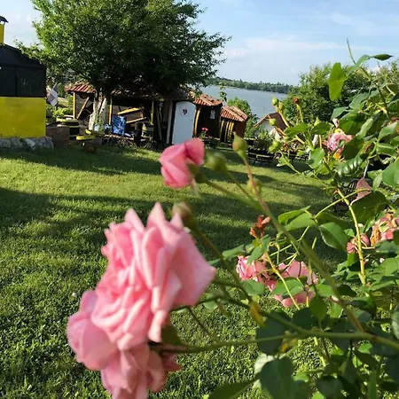 Angelinin בית הארחה נגוטין