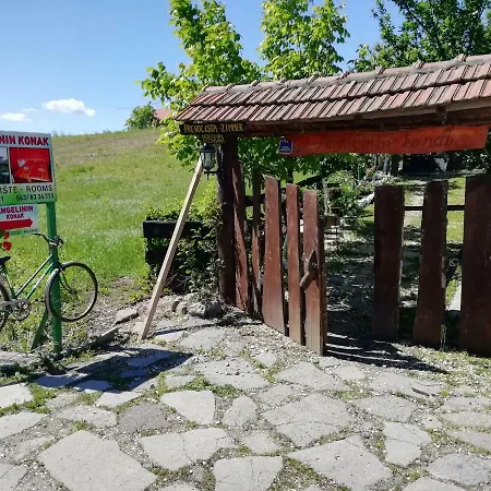 בית הארחה Angelinin